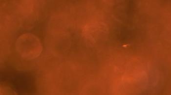 Weather camera view of Saint Peter School.