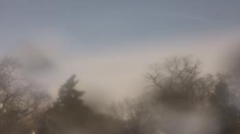 Weather camera view of Saint Peter School.