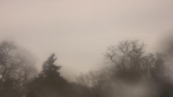 Weather camera view of Saint Peter School.