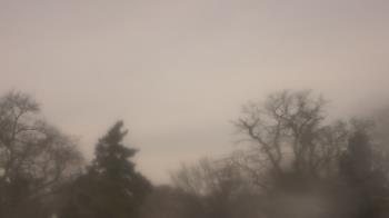 Weather camera view of Saint Peter School.