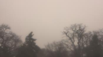 Weather camera view of Saint Peter School.