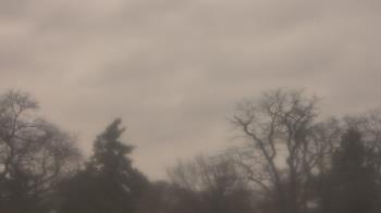 Weather camera view of Saint Peter School.