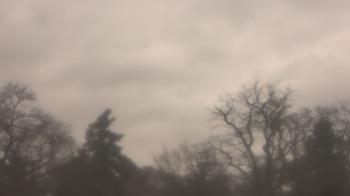 Weather camera view of Saint Peter School.