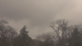 Weather camera view of Saint Peter School.