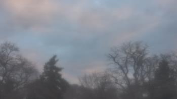 Weather camera view of Saint Peter School.