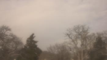 Weather camera view of Saint Peter School.