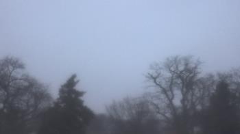 Weather camera view of Saint Peter School.