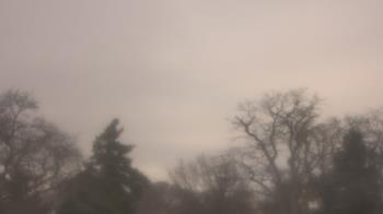 Weather camera view of Saint Peter School.