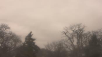 Weather camera view of Saint Peter School.