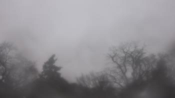 Weather camera view of Saint Peter School.