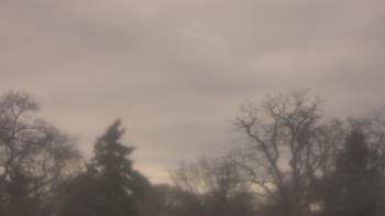 Weather camera view of Saint Peter School.