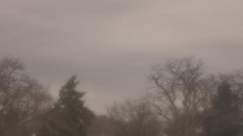 Weather camera view of Saint Peter School.