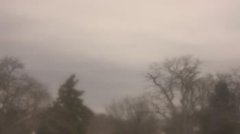 Weather camera view of Saint Peter School.