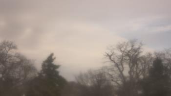 Weather camera view of Saint Peter School.