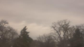 Weather camera view of Saint Peter School.