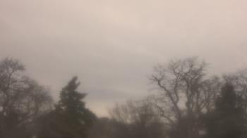 Weather camera view of Saint Peter School.