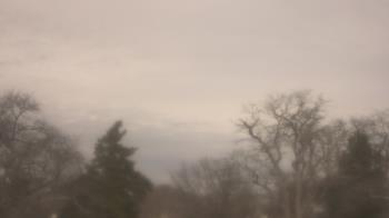 Weather camera view of Saint Peter School.