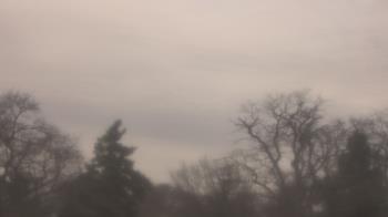 Weather camera view of Saint Peter School.