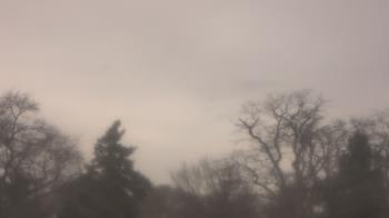 Weather camera view of Saint Peter School.