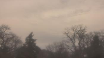 Weather camera view of Saint Peter School.