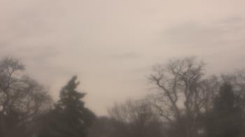 Weather camera view of Saint Peter School.