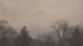 Weather camera view of Saint Peter School.