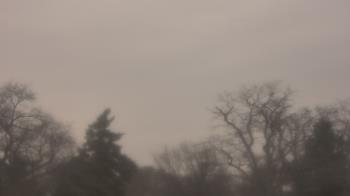 Weather camera view of Saint Peter School.