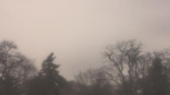 Weather camera view of Saint Peter School.