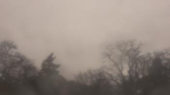 Weather camera view of Saint Peter School.