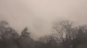 Weather camera view of Saint Peter School.