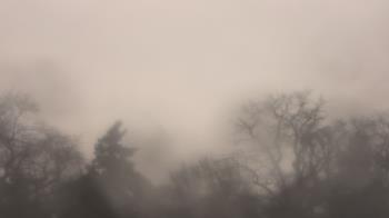 Weather camera view of Saint Peter School.