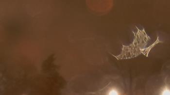 Weather camera view of Saint Peter School.