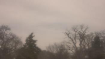 Weather camera view of Saint Peter School.