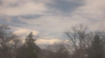 Weather camera view of Saint Peter School.