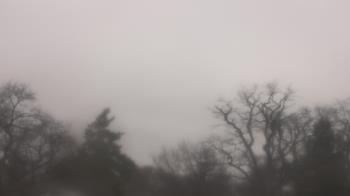 Weather camera view of Saint Peter School.