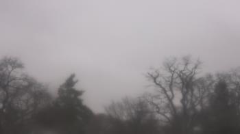 Weather camera view of Saint Peter School.