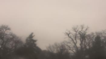 Weather camera view of Saint Peter School.