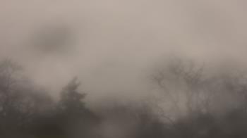 Weather camera view of Saint Peter School.