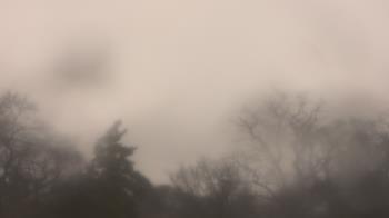 Weather camera view of Saint Peter School.