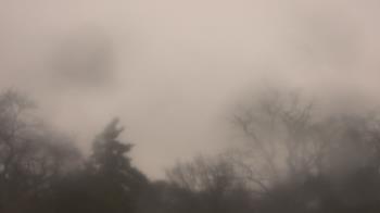 Weather camera view of Saint Peter School.