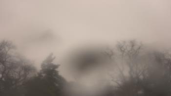 Weather camera view of Saint Peter School.