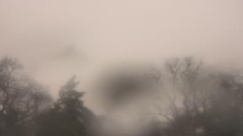 Weather camera view of Saint Peter School.