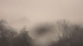 Weather camera view of Saint Peter School.