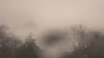 Weather camera view of Saint Peter School.