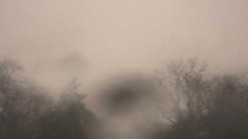 Weather camera view of Saint Peter School.