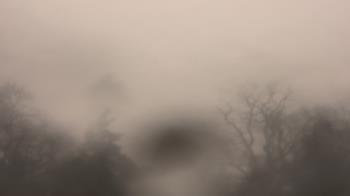 Weather camera view of Saint Peter School.