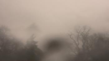 Weather camera view of Saint Peter School.