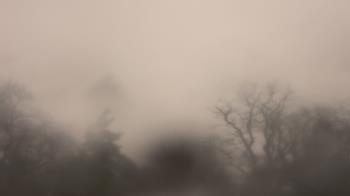 Weather camera view of Saint Peter School.