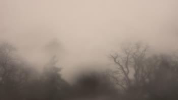 Weather camera view of Saint Peter School.