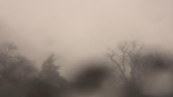 Weather camera view of Saint Peter School.